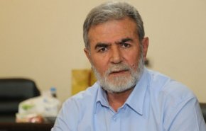 النخالة: الفصائل الفلسطينية توصلت إلى تفاهمات محددة بوقف الحرب