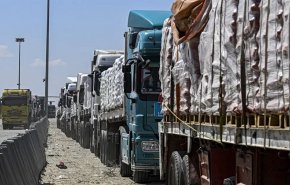 منظمات دولية: 