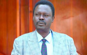 حاكم إقليم دارفور: 85% من مقاتلي 