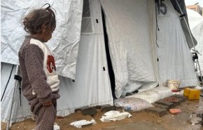 غزة تواجه مأساة جديدة.. آلاف الخيام دمرت بفعل الأمطار