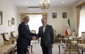 وزیر خارجه با معاون سیاسی رئیس مجلس لبنان دیدار کرد