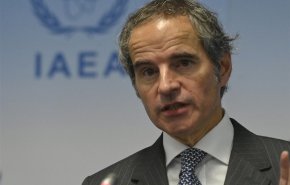 گروسی: خواهان از سرگیری همکاری با ایران هستیم