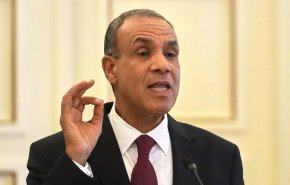 وزیر خارجه مصر: اسرائیل باید از جنوب لبنان خارج شود
