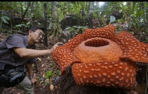 بعد 13 عاما من البحث.. العثور على 