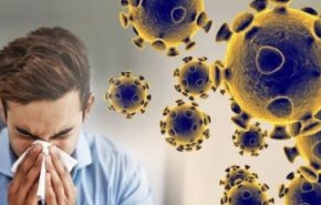 آنفلوآنزا در صدر ویروس‌های تنفسی؛ سالمندان و بیماران زمینه‌ای در خطر