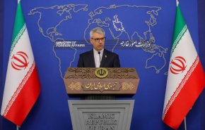 بقائی: فلسطین، جهانی‌ترین آرمان برای عدالت خواهی است