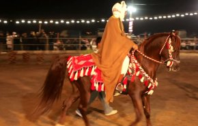 رقابت اسب‌های عربی در خوزستان؛ نمایش شکوه و سنت + فیلم 