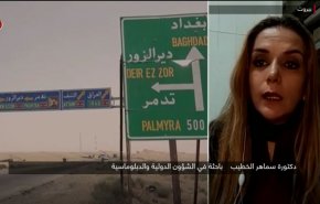 پژوهشگر عرب: داعش با سوء‌استفاده از ضعف قدرت در سوریه در حال بازگشت است