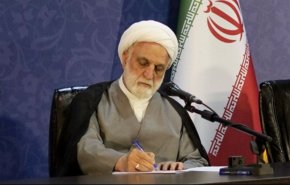 اژه‌ای: محرکان خارجی اغتشاشات را از طرق بین‌المللی تعقیب می‌کنیم+فیلم