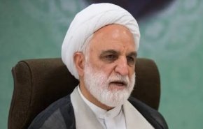 اژه ای : تروریست‌هایی که آدم سوزاندند به سرعت محاکمه شوند+ فیلم