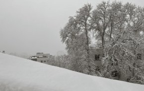 برف ۲۰ سانتی‌متری در تهران + عکس