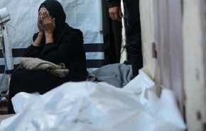 ۱۱ فلسطینی در نوار غزه شهید شدند