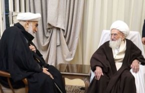 تأکید آیت‌الله نوری همدانی بر حمایت همه جانبه از مقام معظم رهبری