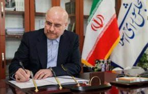 دشمن ضعف در میدان نبرد را با ترور می خواهد جبران کند