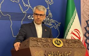 ایران حمله تروریستی و ترور خطیب جمعه حرم حضرت زینب (س) رامحکوم کرد