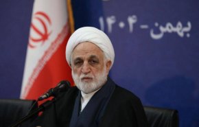 إيجئي: إفشال مشروع الممر الجنوبي أحبط المخطط الأمريكي منذ بدايته