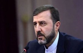 غریب آبادی: وزیر امنیت ملی رژیم صهیونیستی برای کشتار در غزه «سهمیۀ شبانه» تعیین کرده است