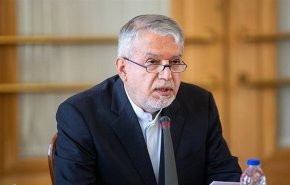 صالحي أميري: إيران تحظى بمكانة ثقافية وحضارية لدى دول بريكس
