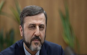 غريب آبادي: أي دعم للكيان الصهيوني هو مشاركة في جرائمه