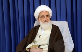 تاکید آیت‌الله نوری همدانی بر راه‌های عملی برای وحدت اسلامی
