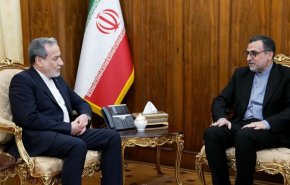 بررسی آخرین تحولات جهان اسلام در دیدار نماینده ایران در سازمان همکاری اسلامی با عراقچی