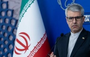 بقائی: ارجاع پرونده هسته‌ای ایران به شورای امنیت موضوعیت ندارد