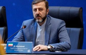 گزارش غریب‌آبادی از دهلی‌نو؛ مواضع اصولی ایران در بیانیه نهایی بریکس بازتاب یافت

