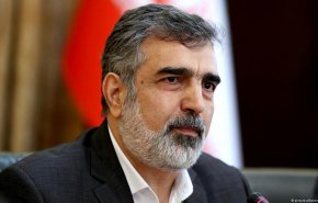 کمالوندی: ممانعت از حضور «اسلامی» در کنفرانس عمومی آژانس رویه‌ای خطرناک برای همه کشورهاست