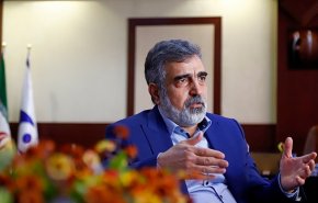 کمالوندی: اراده دفاعی ایران شکست‌ناپذیر است/ افشای پشت‌پرده لغو روادید رئیس سازمان انرژی اتمی