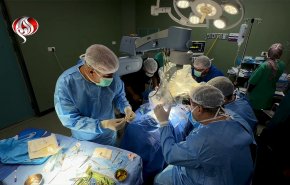 بعد 3سنوات من التوقف؛ استئناف زراعة القوقعة لأطفال غزة