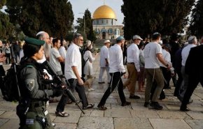 صدها صهیونیست در قدس اشغالی به مسجدالاقصی یورش بردند