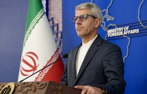 پاسخ بقائی به ادعای وزیر خارجه آمریکا درباره ایران