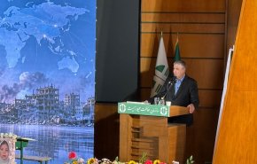 طرح ساخت ۲۰ هزار مگاوات برق هسته‌ای با قدرت ادامه می‌یابد
