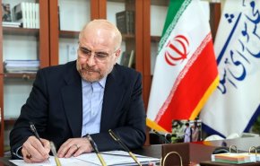 پیام تبریک قالیباف به قهرمانان کشتی فرنگی امید