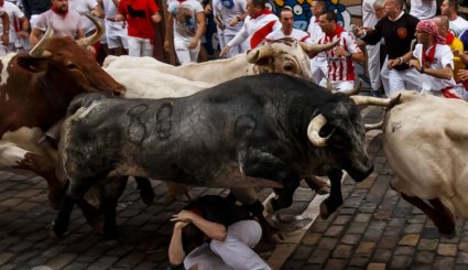 گاوهای خشمگین در خیابان‌های پامپلونا