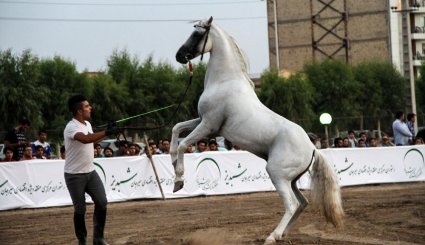 دومین جشنواره اسب اصیل بومی فلات ایران در سیرجان
