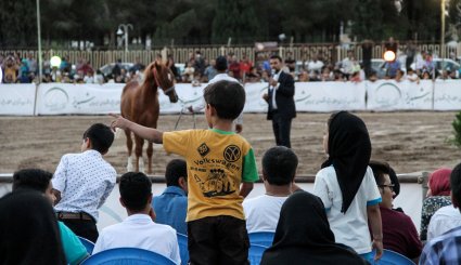 دومین جشنواره اسب اصیل بومی فلات ایران در سیرجان
