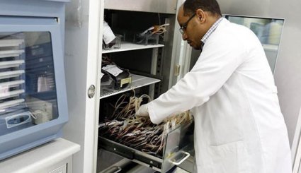 Yemen Blood Bank May Be Forced to Shut Due to Lack of Funds
