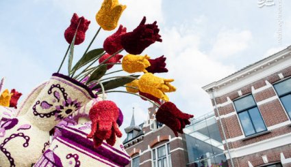 گل‌های غول پیکر در هلند