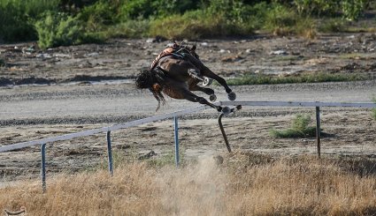 هفته قهرمانی مسابقات اسب‌دوانی تابستانه کشور در بندر ترکمن + تصاویر