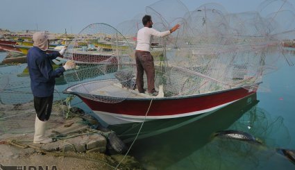 گرگور قفسی برای صید ماهی
