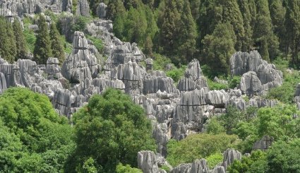 غابة شيلين الحجرية في الصين