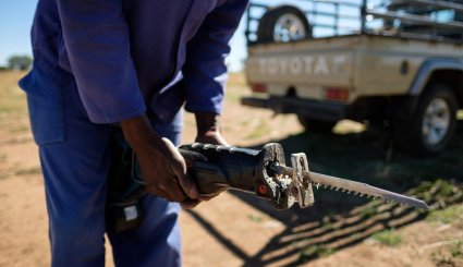 بریدن شاخ کرگدن در آفریقای جنوبی‎
