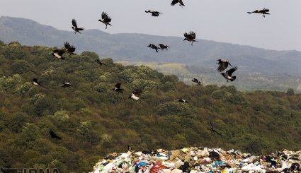 انباشت زباله در جنگل های سراوان رشت