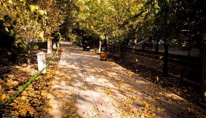 پاییز در تهران + تصاویر