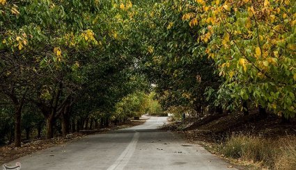 پاییز در شهرستان الشتر - لرستان
