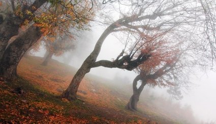 الخريف في محافظة غلستان ايران 