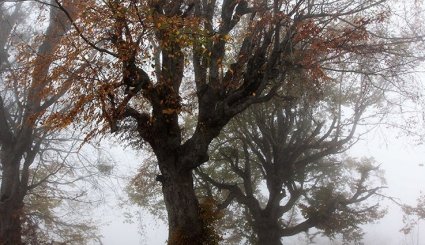 الخريف في محافظة غلستان ايران 