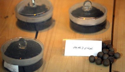 متحف الشاي التاريخي في مدينة لاهيجان الايرانية