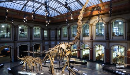 متحف الديناصورات في لندن